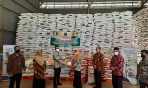 WhatsApp Image 2021-08-13 at 11.52.35