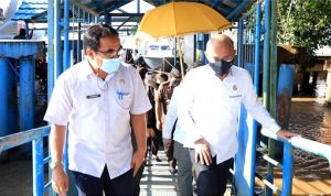 WhatsApp Image 2021-09-30 at 14.18.25