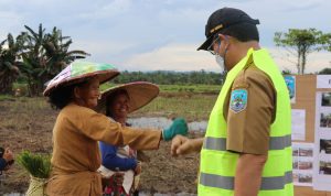 WhatsApp Image 2021-10-07 at 01.48.32