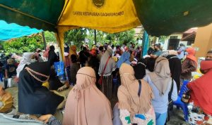 WhatsApp Image 2021-10-13 at 23.41.56