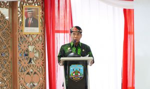 WhatsApp Image 2022-11-18 at 17.34.00