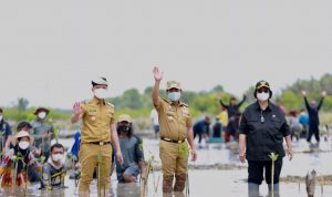 WhatsApp Image 2022-11-21 at 15.47.20