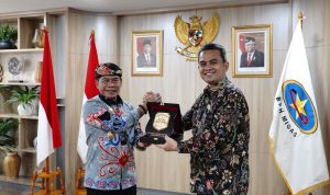 WhatsApp Image 2022-11-23 at 17.13.26