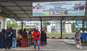 WhatsApp Image 2023-04-26 at 16.07.05