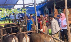 WhatsApp Image 2023-06-21 at 14.31.01