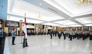 WhatsApp Image 2023-07-01 at 15.17.39