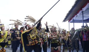 WhatsApp Image 2023-10-07 at 15.52.53