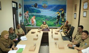 WhatsApp Image 2023-10-16 at 15.36.27