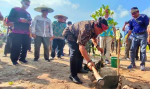 WhatsApp Image 2023-11-03 at 16.32.55