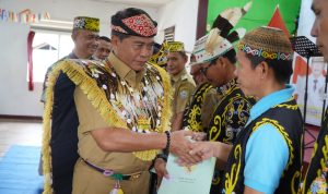 WhatsApp Image 2023-12-12 at 15.45.34