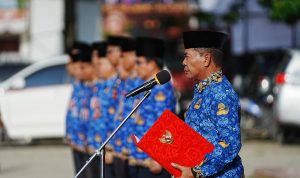 WhatsApp Image 2024-05-20 at 12.04.15