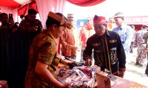 WhatsApp Image 2024-05-22 at 16.40.45