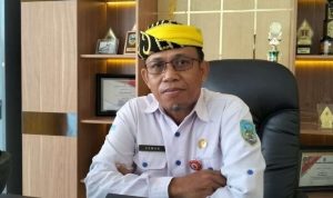 WhatsApp Image 2024-05-23 at 14.34.12