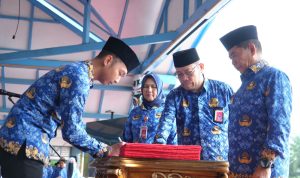 WhatsApp Image 2024-06-02 at 16.25.37