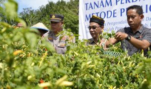 WhatsApp Image 2024-06-20 at 16.21.12