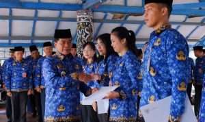 WhatsApp Image 2024-07-18 at 17.09.32