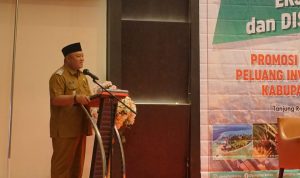 WhatsApp Image 2024-07-29 at 17.40.36