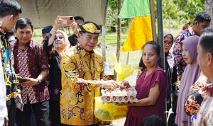 WhatsApp Image 2024-09-05 at 14.52.55