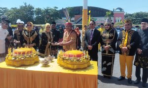 WhatsApp Image 2024-09-15 at 15.27.36