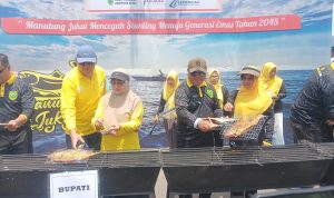 WhatsApp Image 2024-09-17 at 14.25.51