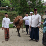 Bupati Kutai Kartanegara (Kukar) Edi Damansyah menyerahkan 2 (dua) ekor hewan qurban, masing–masing satu ekor untuk Pondok Pesantren Darus Salamah dan Ponpes Nurul Islam Desa Manunggal Jaya Kecamatan Tenggarong Seberang.