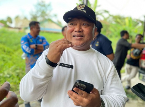 Wakil Bupati Berau, Gamalis